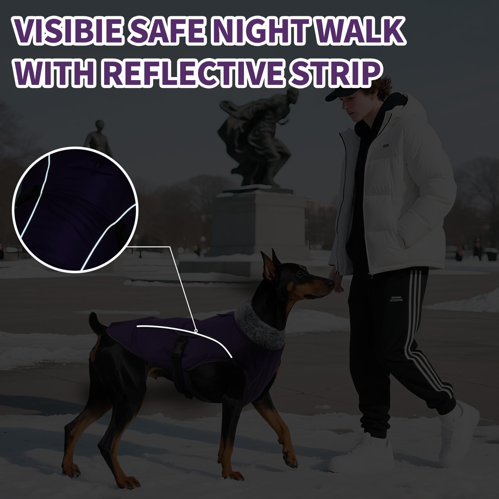 DENTRUN abrigo para perro con dos bandas reflectantes para caminatas nocturnas.