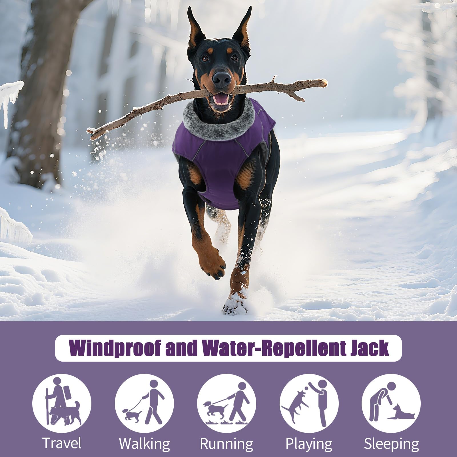 DENTRUN abrigo para perro en tallas variadas, desde S hasta XXXL.