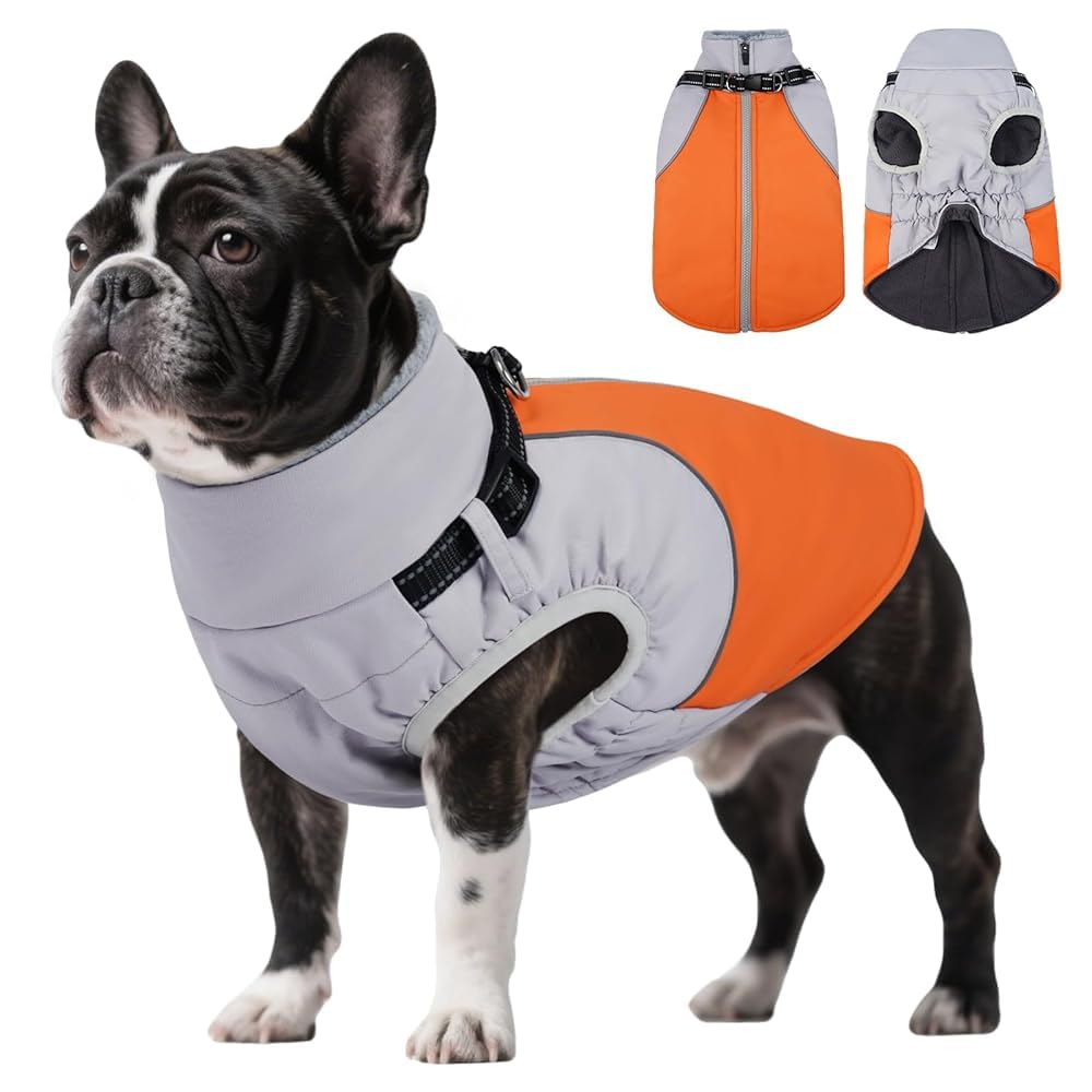 DentRun abrigo para perro con arnés integrado, seguridad y comodidad durante paseos.