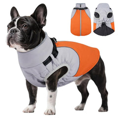 DentRun abrigo para perro con arnés integrado, seguridad y comodidad durante paseos.