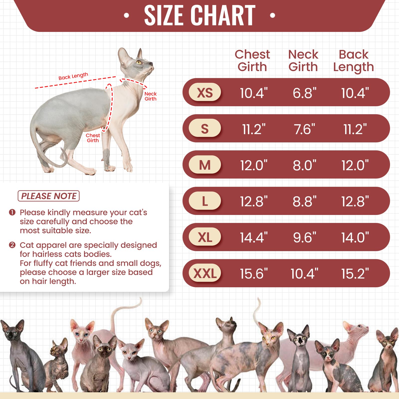 Ajuste cómodo de DENTRUN para gato Sphynx, fácil de colocar.