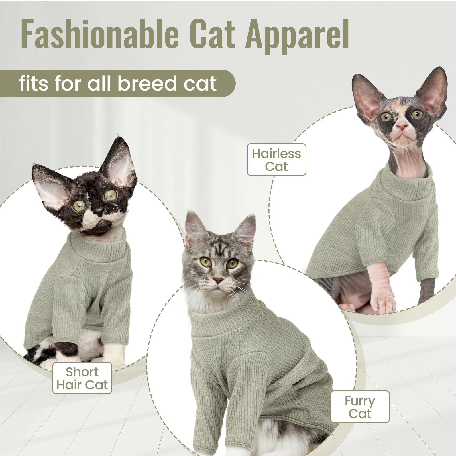 Ropa diaria dentrun para gato sin pelo, fácil de poner.