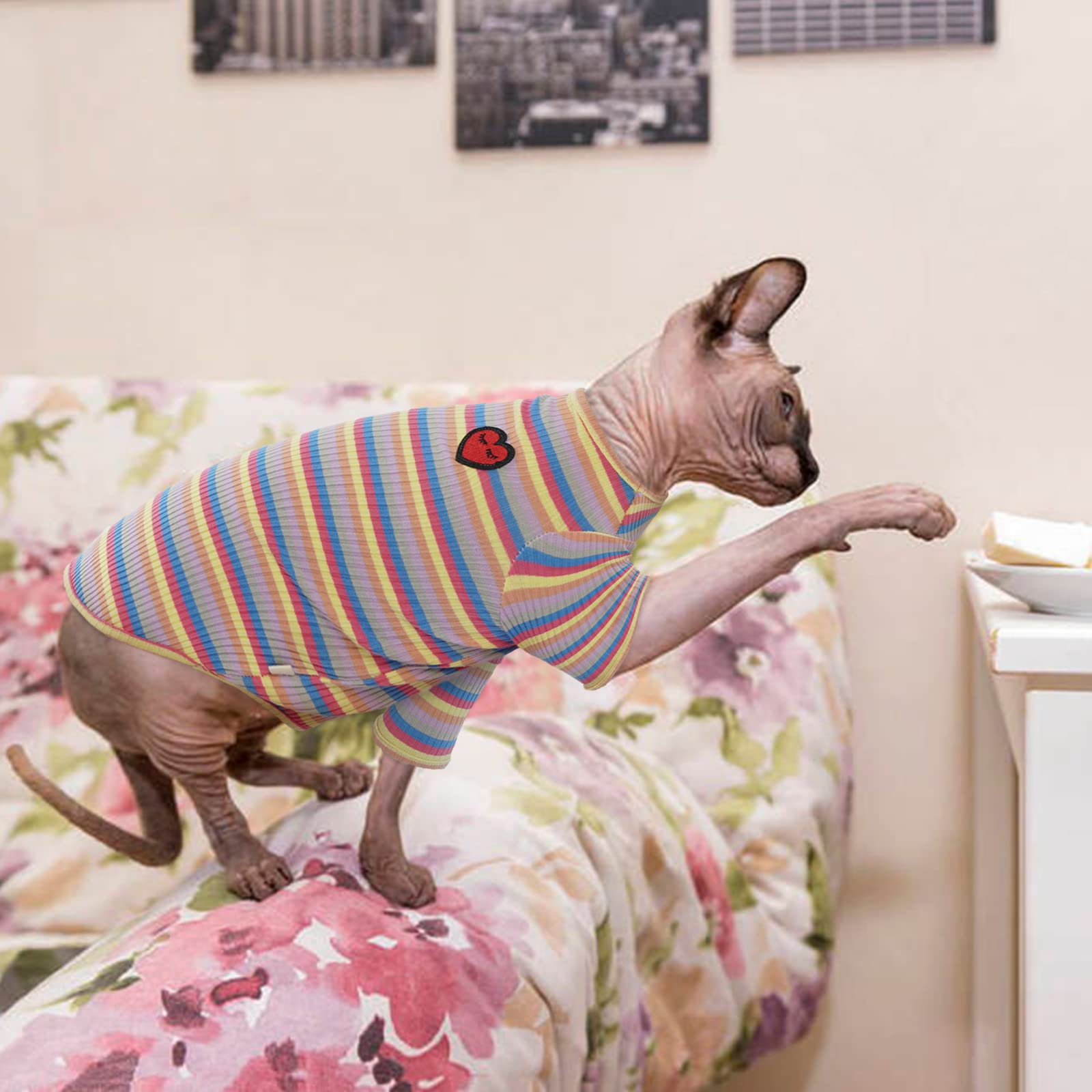 Camiseta DENTRUN interior suave para gatos sin pelo, piel agradable