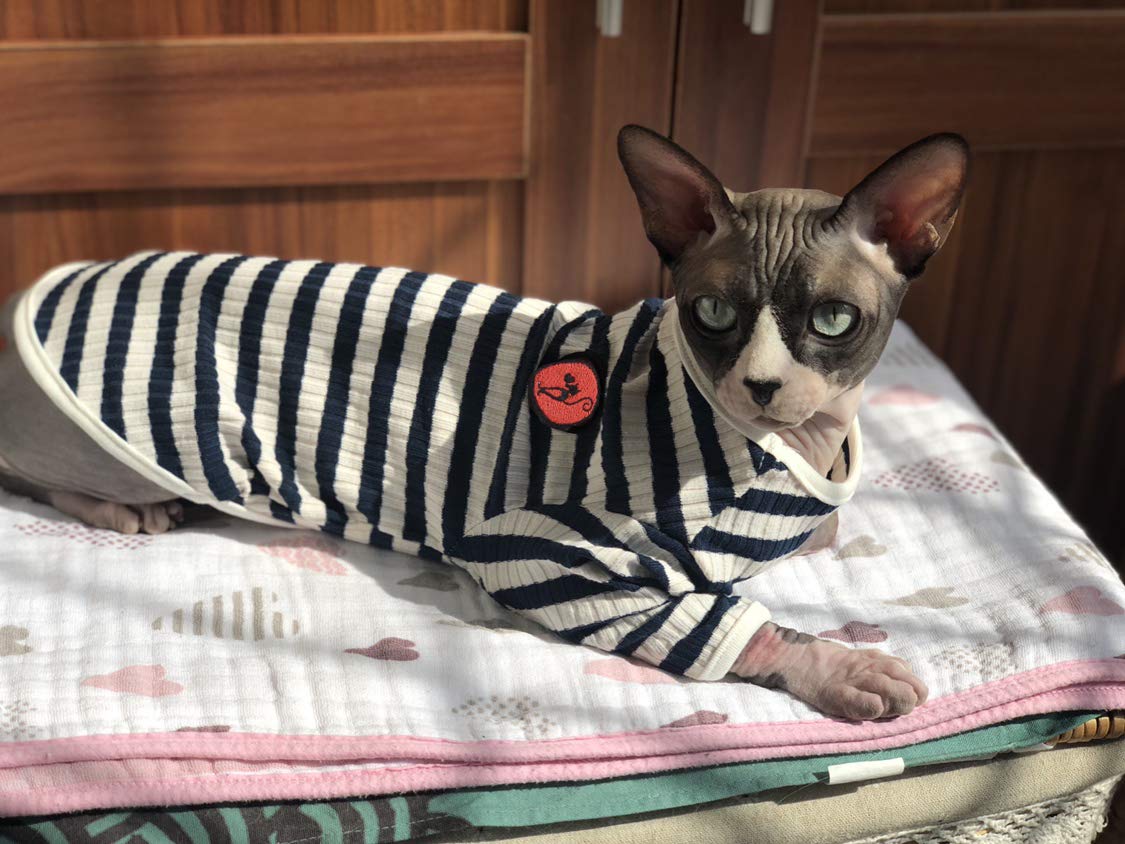 Camiseta DENTRUN para gatos sin pelo, rayas naranjas, protección UV para aventuras.