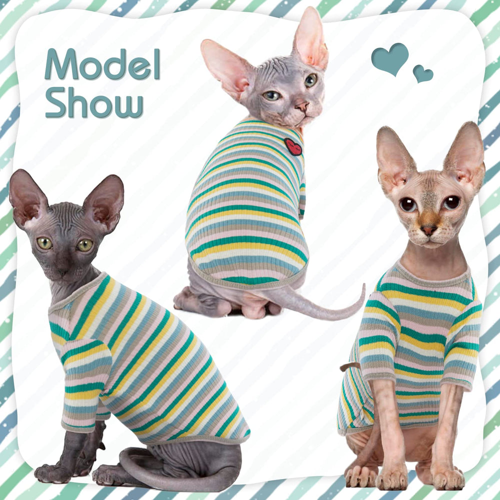 Camiseta DentRun para gatos sin pelo con rayas naranjas, fácil de colocar.