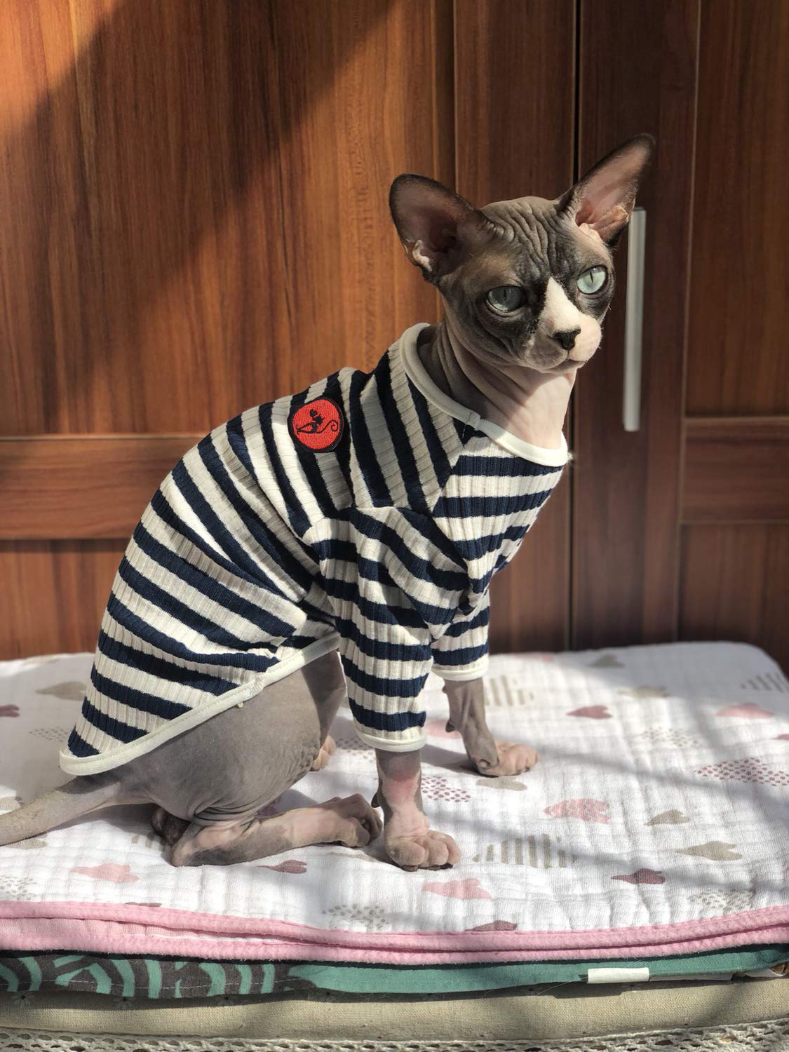 Camiseta DENTRUN para gatos sin pelo, rayas violetas, cuello elástico para ajuste cómodo.