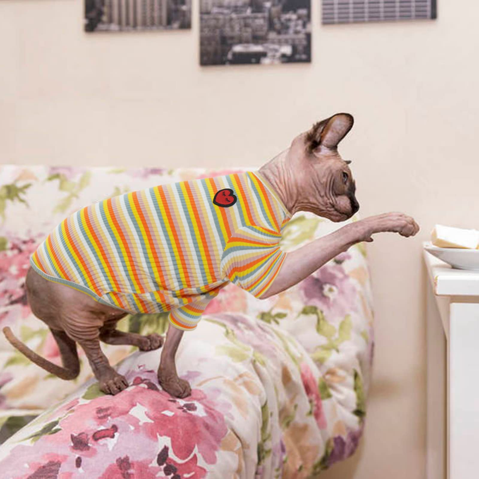 Camiseta DENTRUN de tejido algodón mezcla, suave y transpirable para gatos sin pelo.