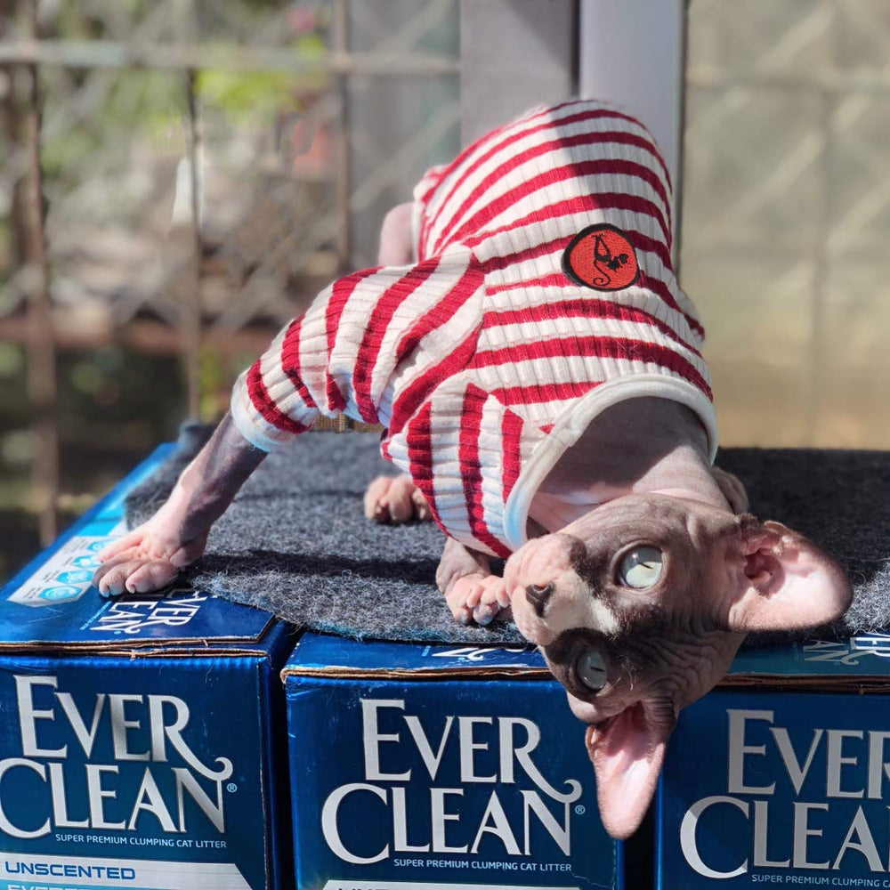 Ropa diaria DENTRUN para uso interior y exterior de gatos sin pelo