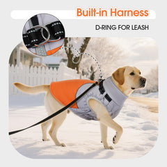 DentRun capa exterior anti viento para días fríos y húmedos.
