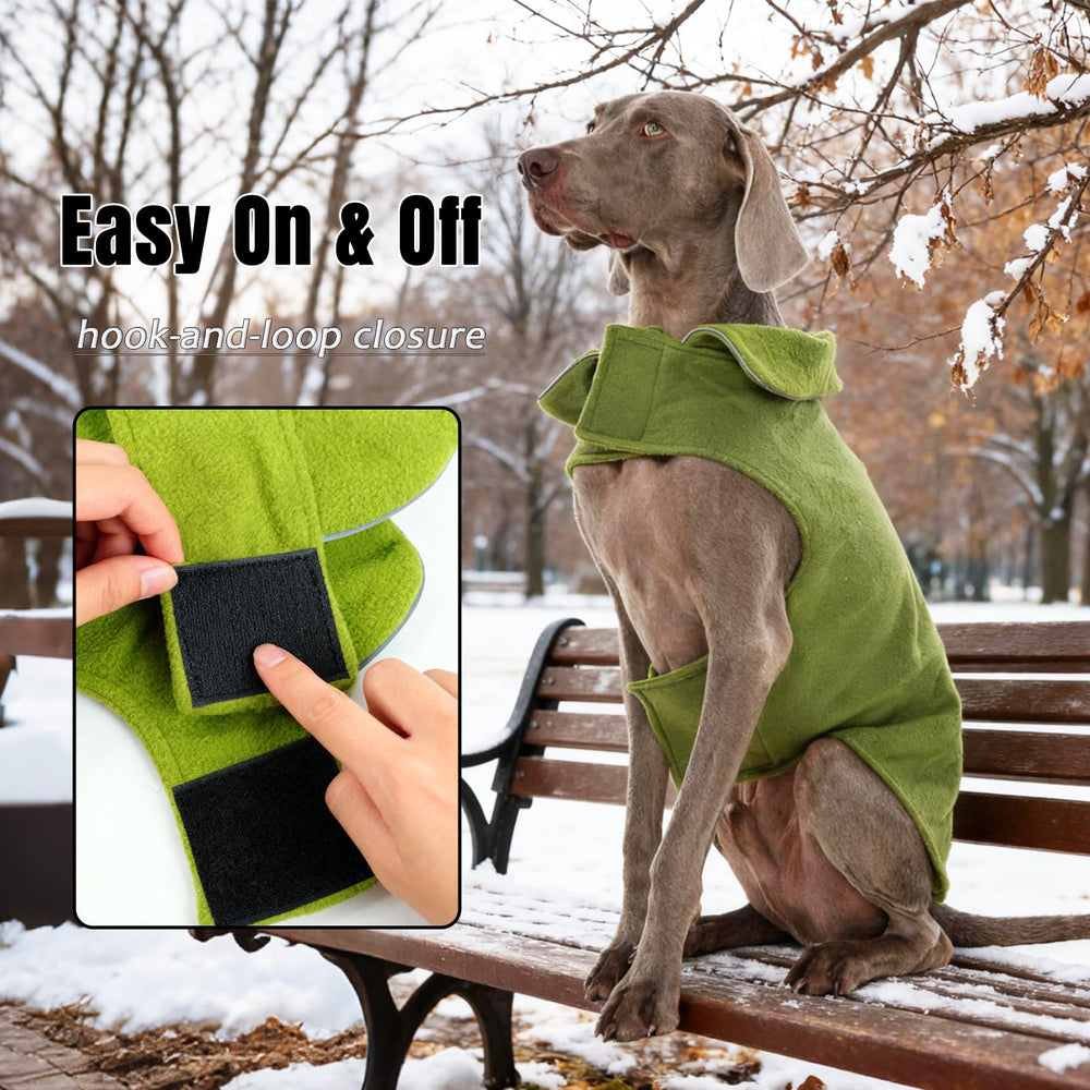 DENTRUN capa para perro, cuello alto ajustable para calor adicional.