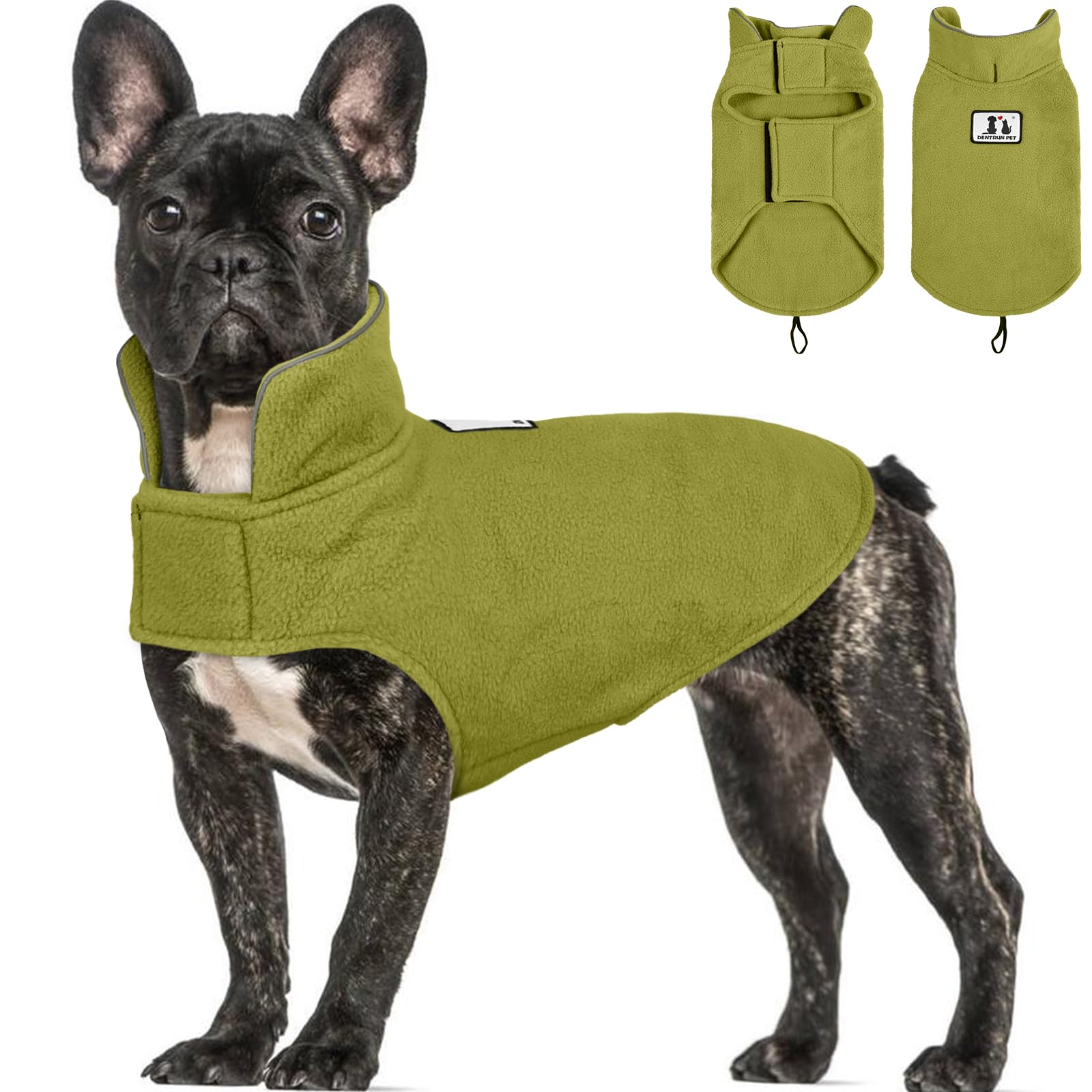 DENTRUN capa reversible para perro, protección contra viento en paseos.