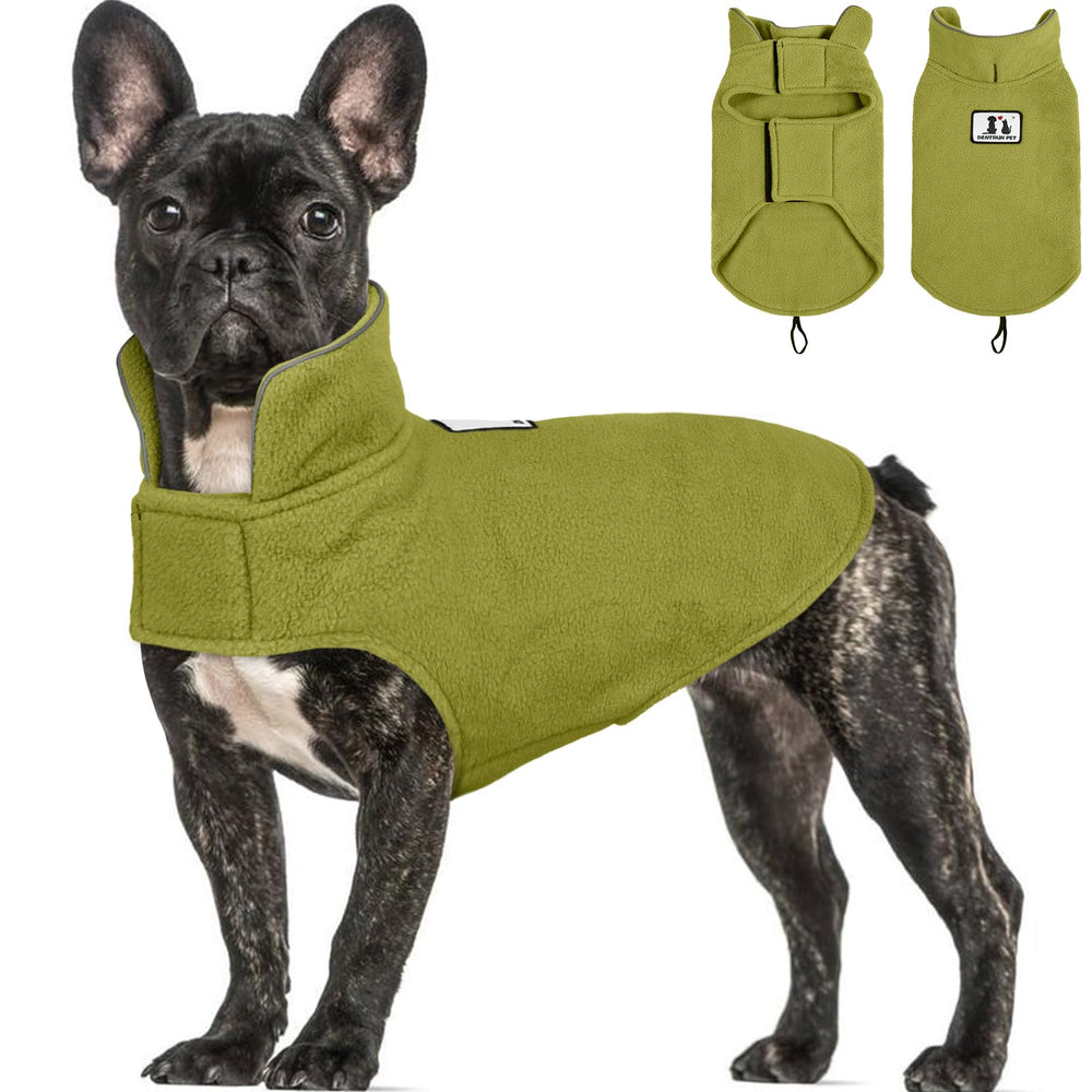 DENTRUN capa reversible para perro, protección contra viento en paseos.