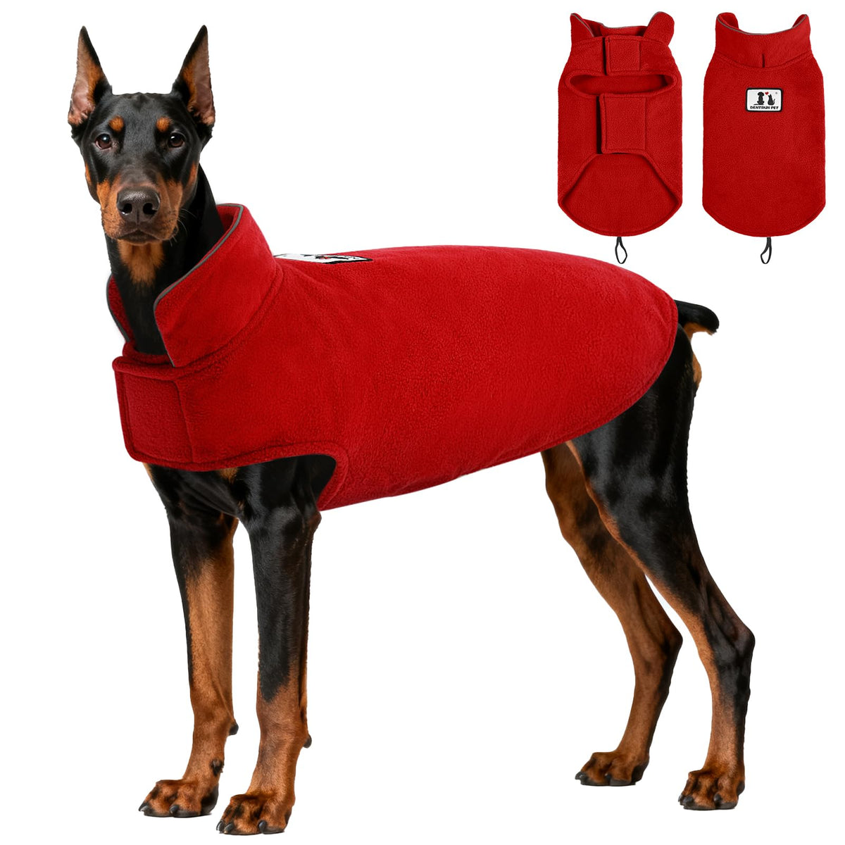 Chaleco reversible de DENTRUN para perro con viento, mantiene calor durante paseos.