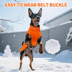 DENTRUN chaqueta invernal para perros, bandas reflectantes, mayor visibilidad en paseos nocturnos.