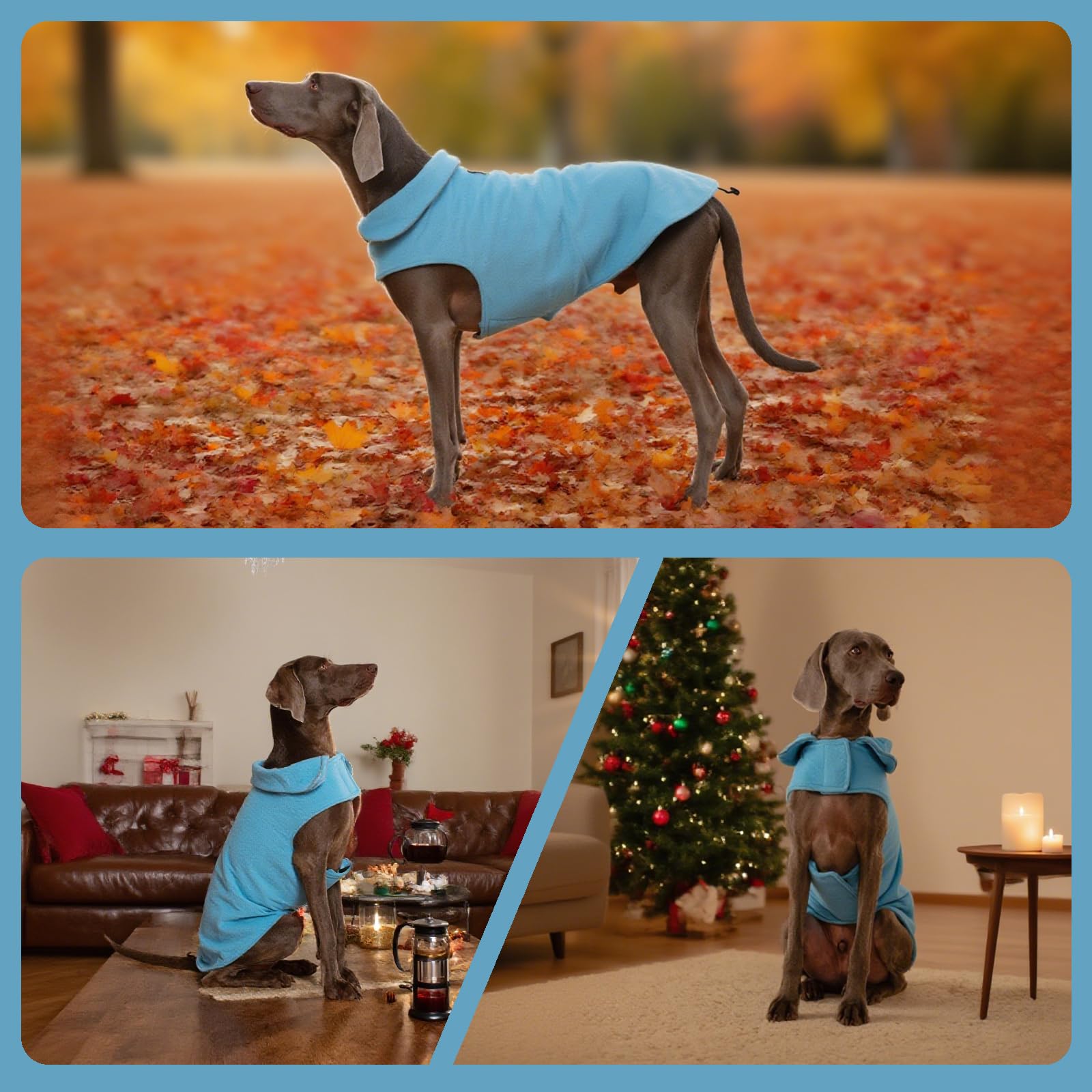 DENTRUN chaqueta lavable a máquina, mantenimiento sencillo tras la sal fría.