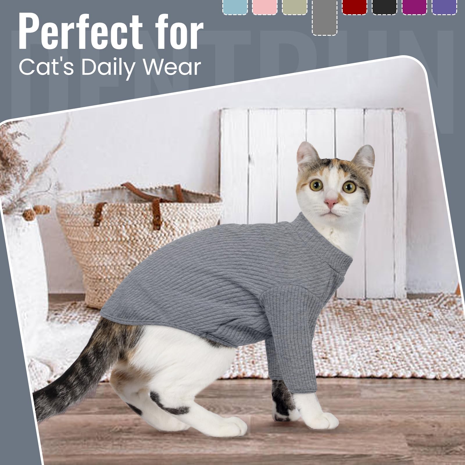 Prenda diaria DENTRUN para gatos sin pelo, diseño práctico en frente.