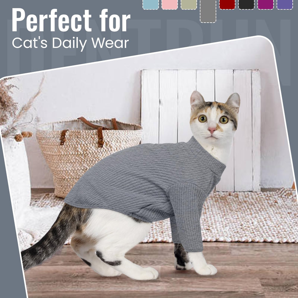 Prenda diaria DENTRUN para gatos sin pelo, diseño práctico en frente.