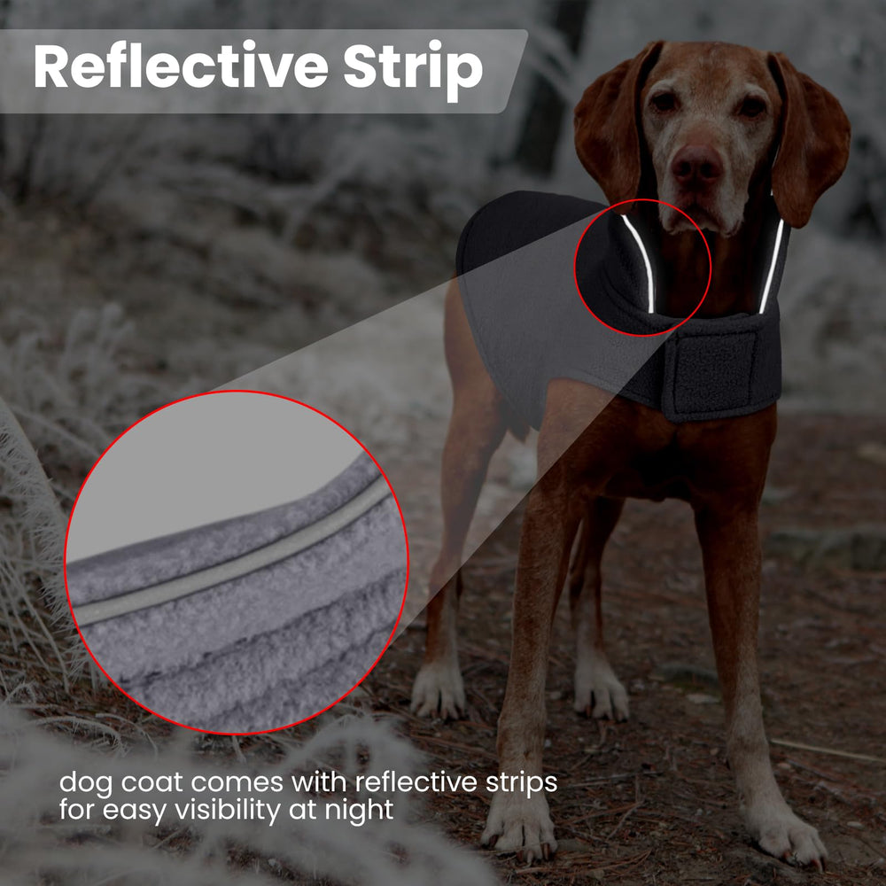 DENTRUN diseño reversible, dos looks para perros pequeños.
