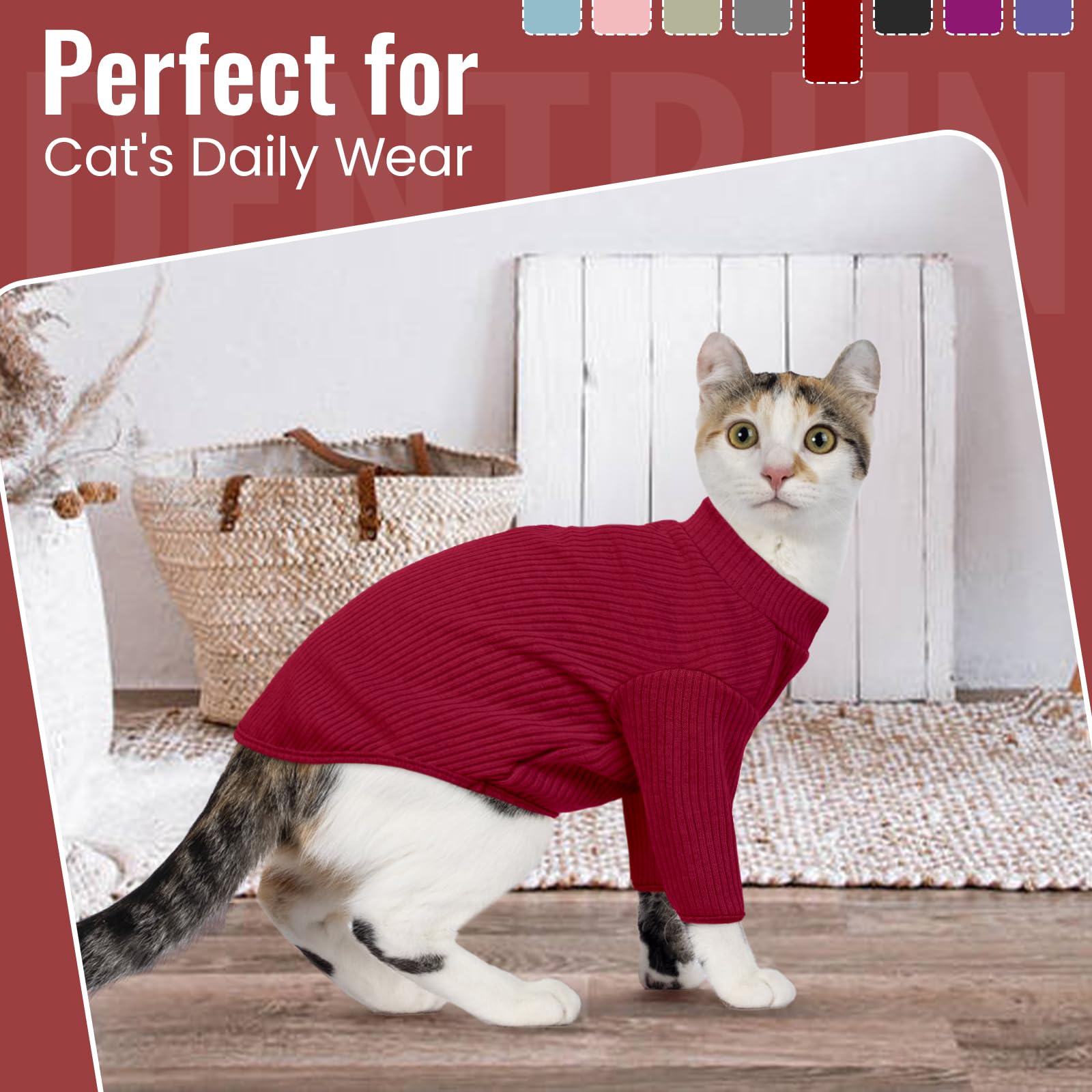 Etiqueta de marca DENTRUN y diseño distintivo para gatos sin pelo.