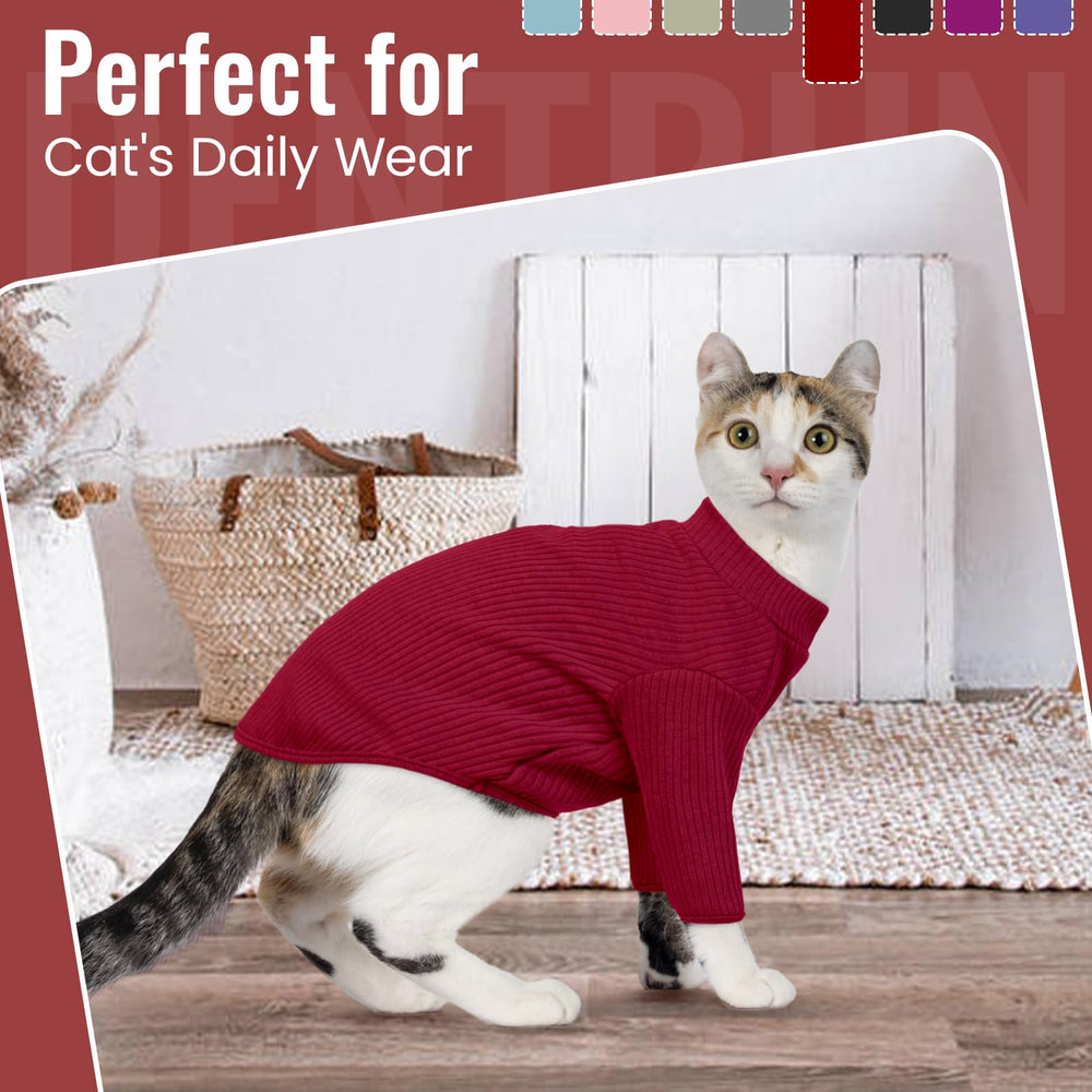 Etiqueta de marca DENTRUN y diseño distintivo para gatos sin pelo.