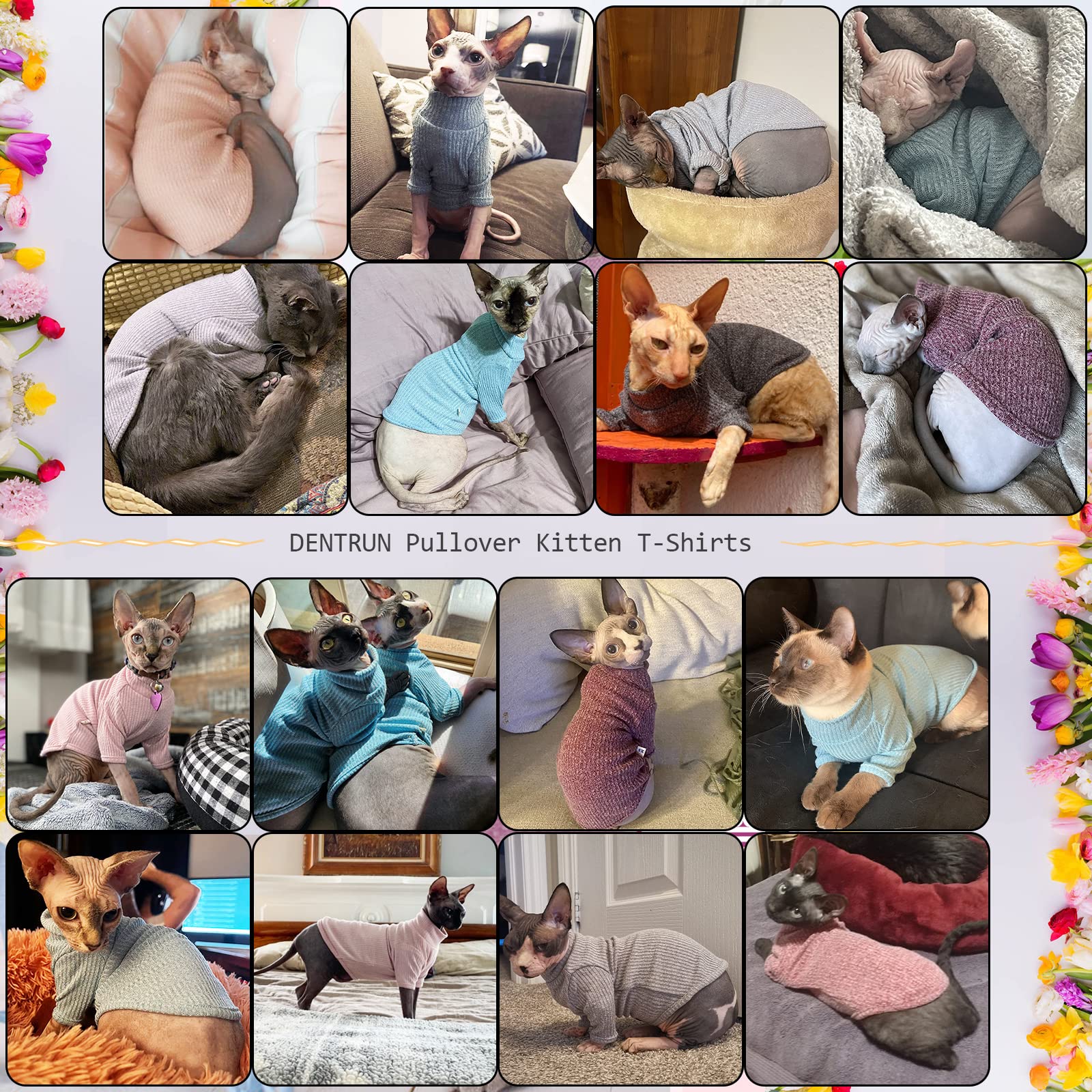 Pijama DENTRUN para gato sin pelo, dorso cómodo para dormir.