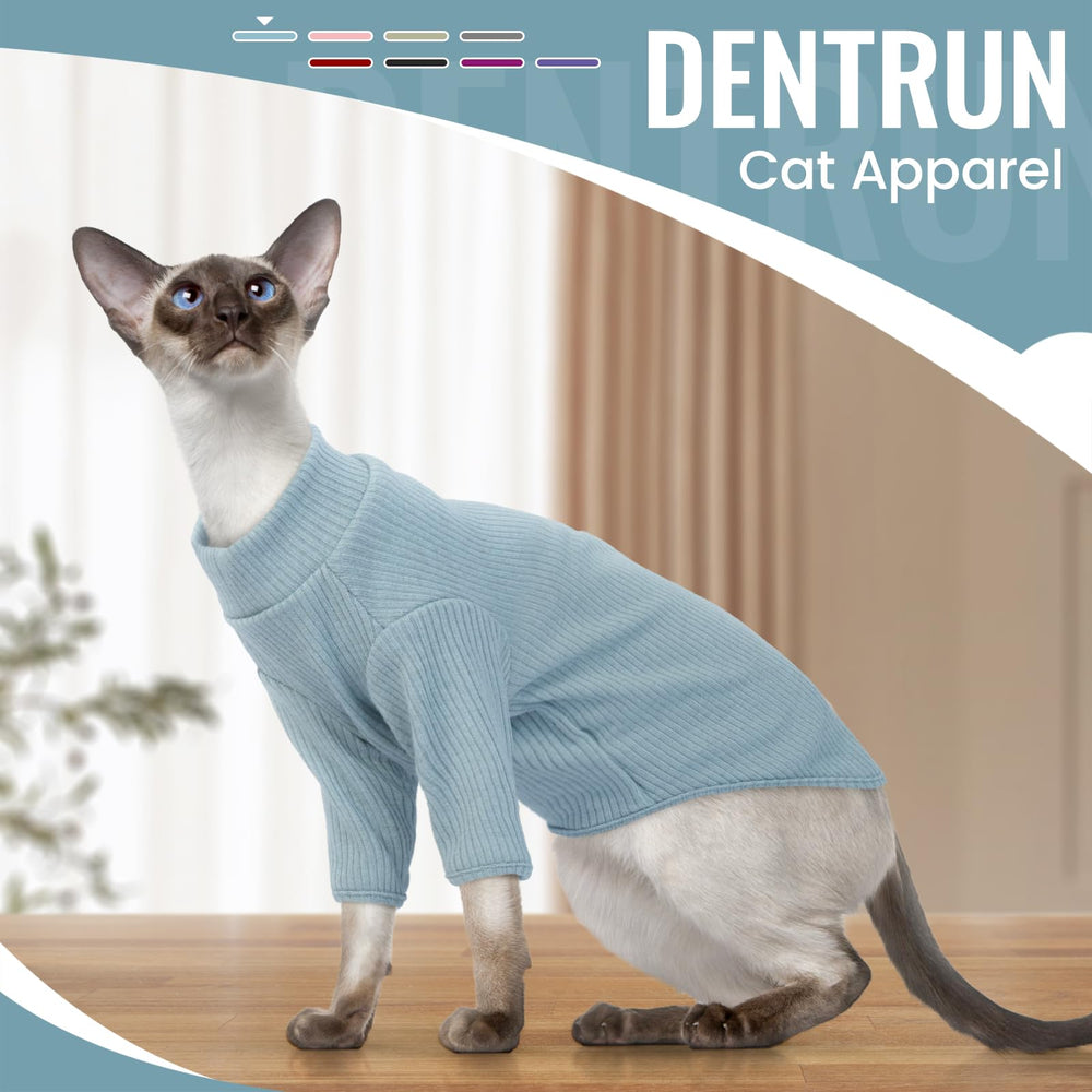 Estilo casual diario con DENTRUN, gato Sphynx con camiseta en casa.