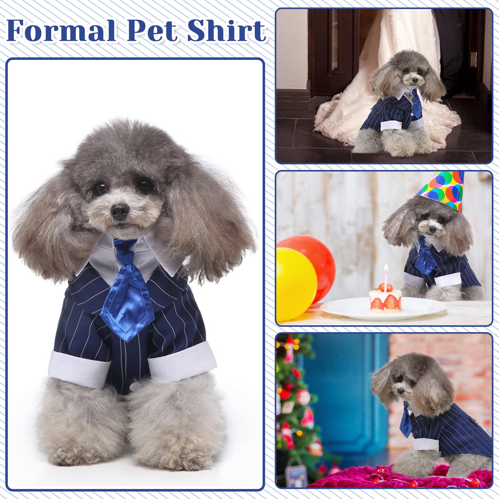 DENTRUN listo para fotos, realza la presencia del perro en eventos formales.