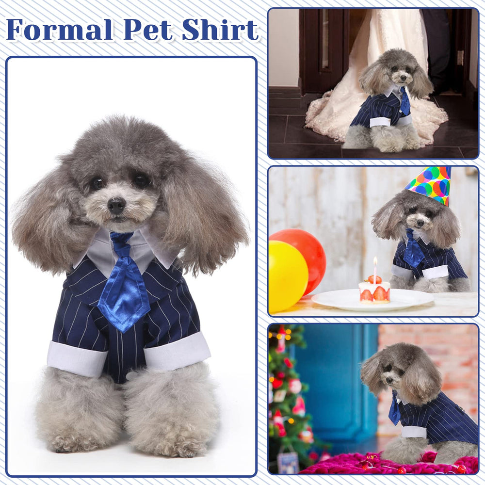 DENTRUN listo para fotos, realza la presencia del perro en eventos formales.