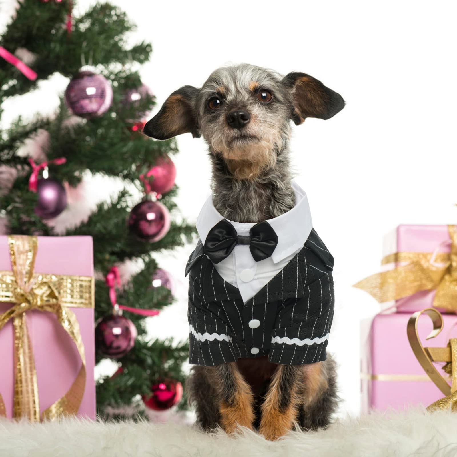 DENTRUN tuxedo-look-listo para sesiones de fotos especiales.