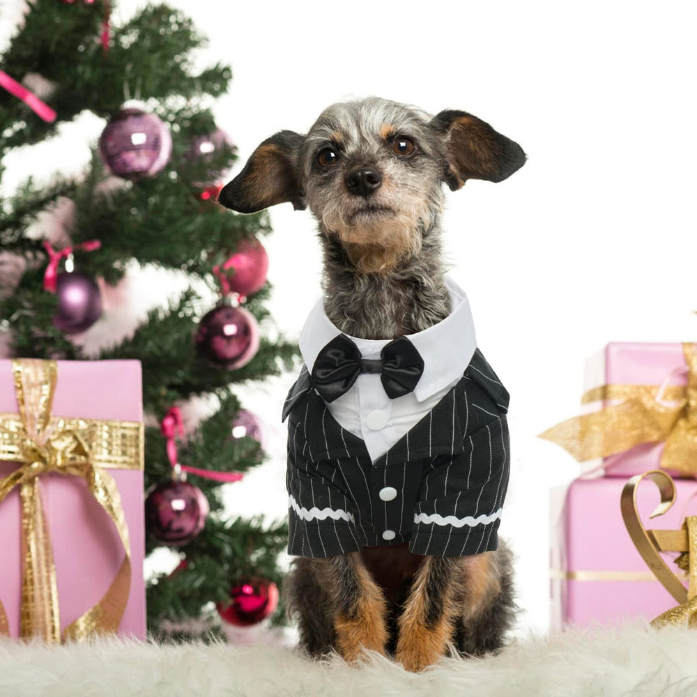 DENTRUN tuxedo-look-listo para sesiones de fotos especiales.