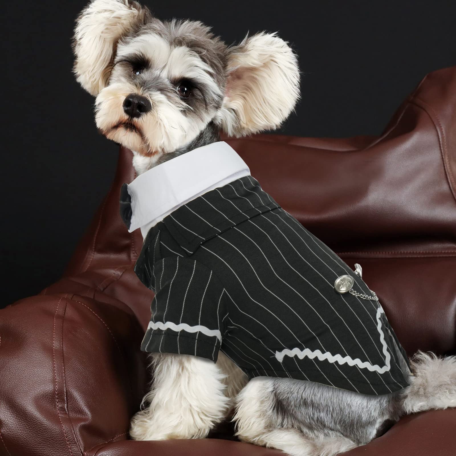 DENTRUN tuxedo-regalo ideal para amantes de mascotas.