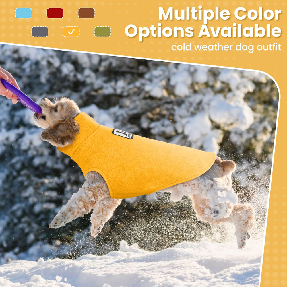 DENTRUN abrigo cálido para perros pequeños ideal para inviernos fríos.