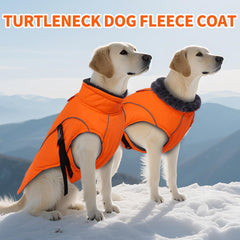 DENTRUN cuello tortuga ajustable, ofrece abrigo extra frente al viento