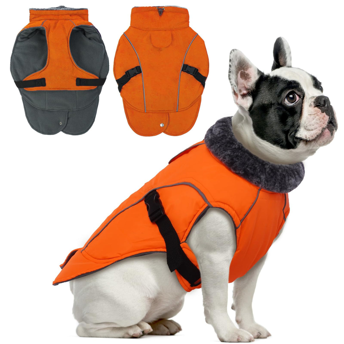 DENTRUN capa de invierno para perro, exterior de poliéster grueso, protege del viento