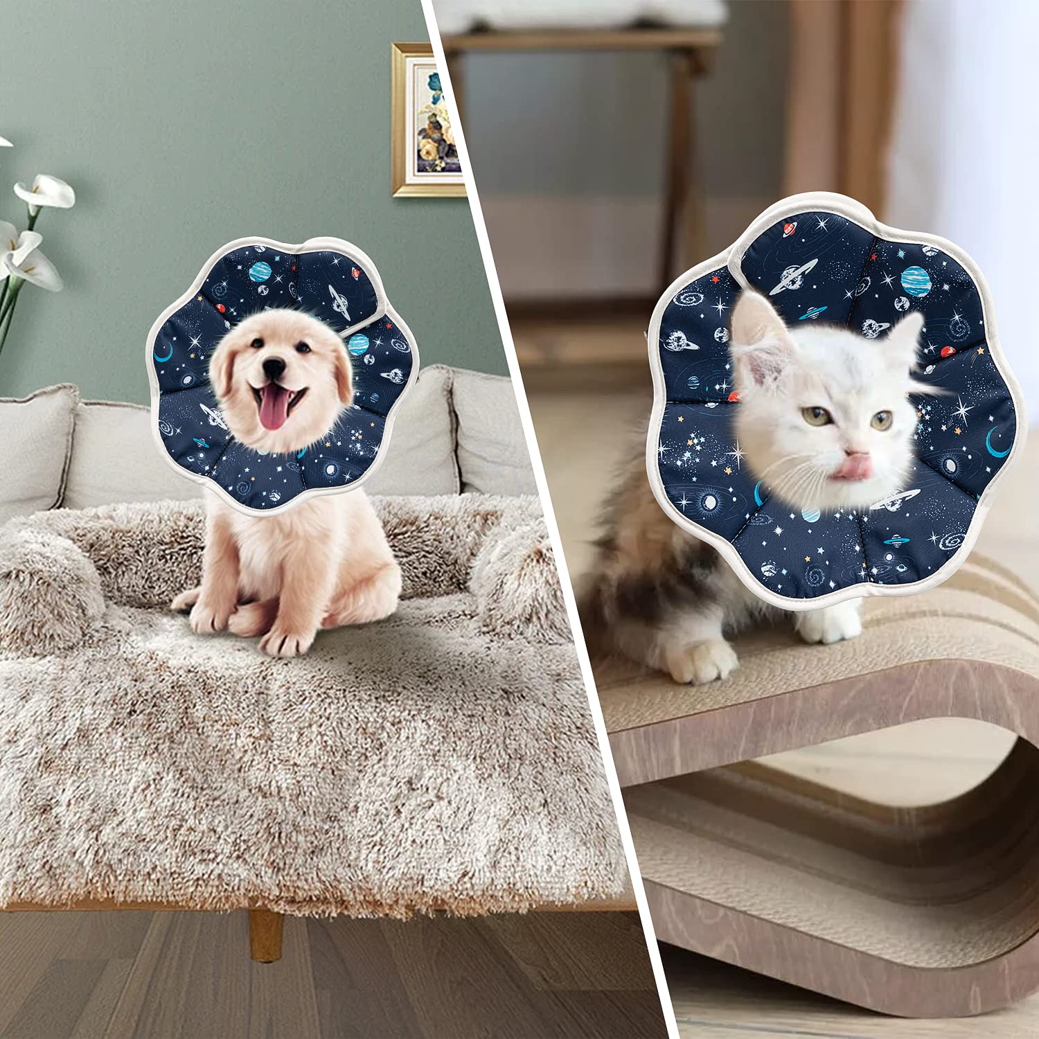 Depets collar cono talla pequeña en gato, ajuste perfecto para cuello fino.