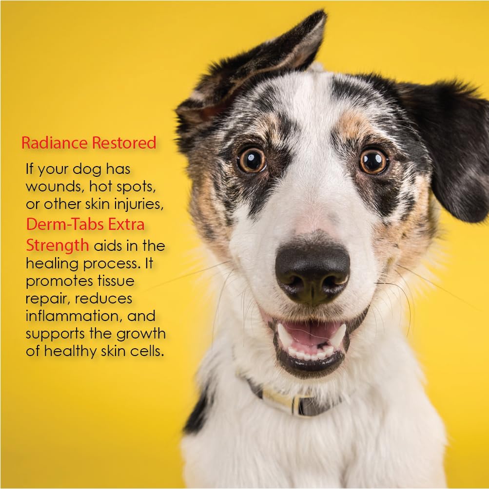 Derm Tabs Fuerza Extra para Perros: recomendado por veterinarios.