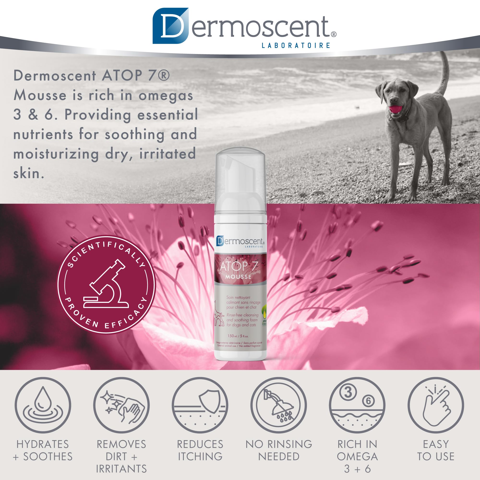 Uso diario sin baño con Dermoscent ATOP 7 Mousse.