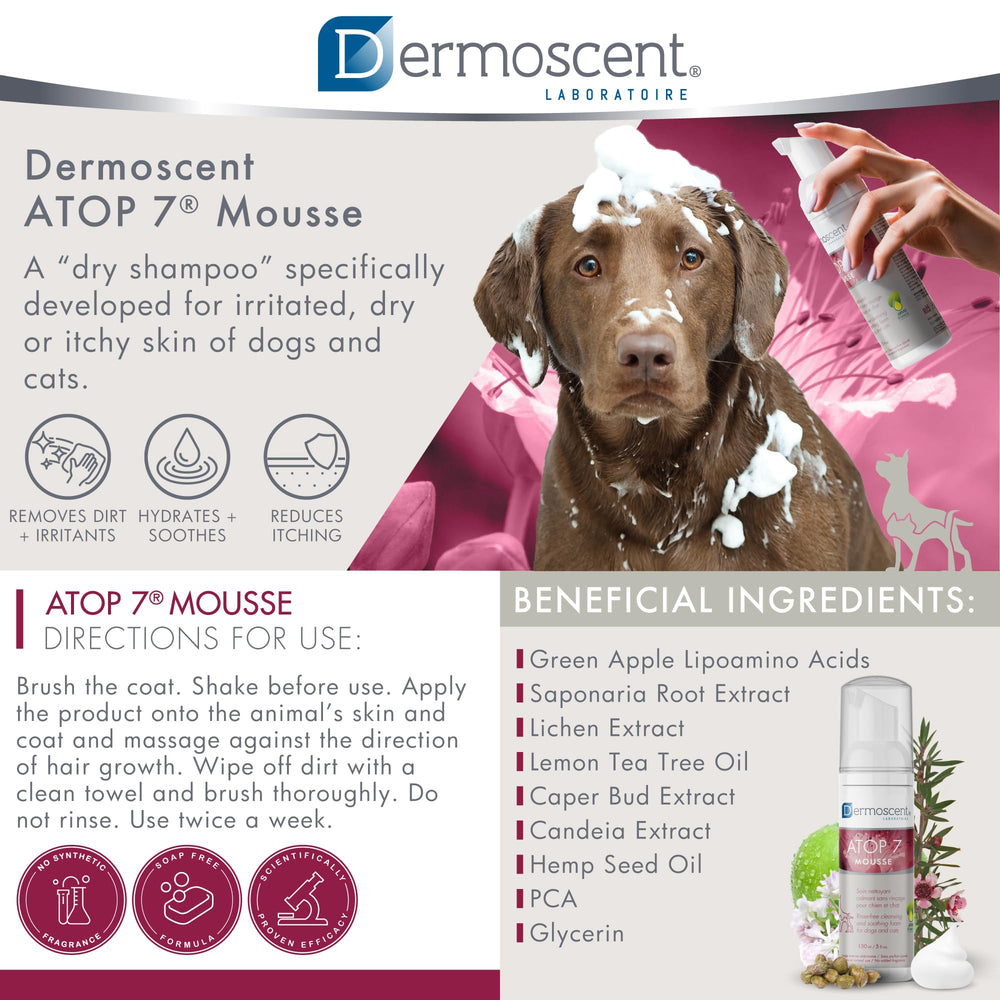 Dermoscent ATOP 7 Mousse aplicado en perro para limpieza rápida y cómoda.