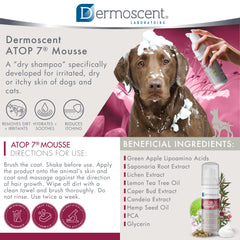 Dermoscent ATOP 7 Mousse aplicado en perro para limpieza rápida y cómoda.