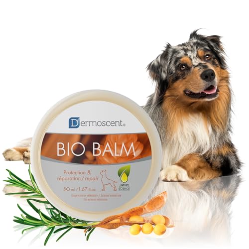 Regalo perfecto para perros con piel sensible con Dermoscent