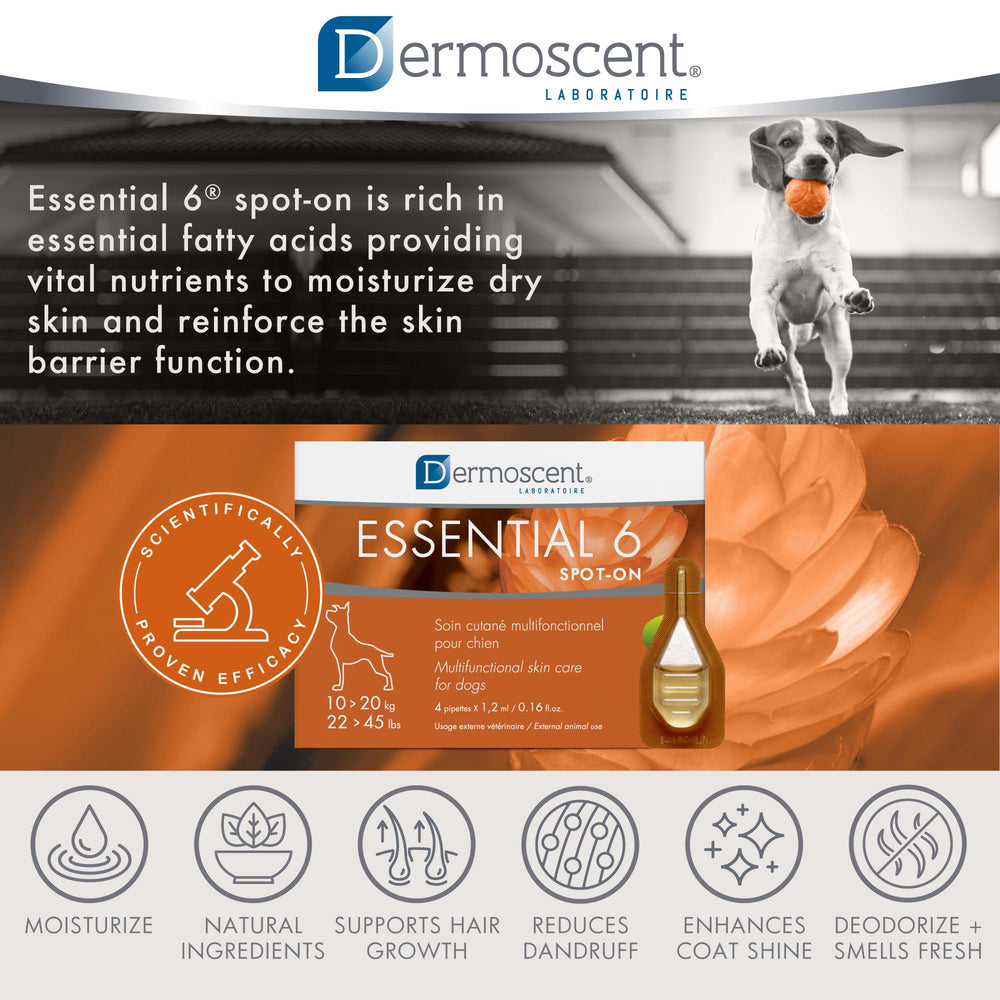 Dermoscent Essential 6 olor-herbal-fresco: deodoriza olores con un aroma herbal fresco.