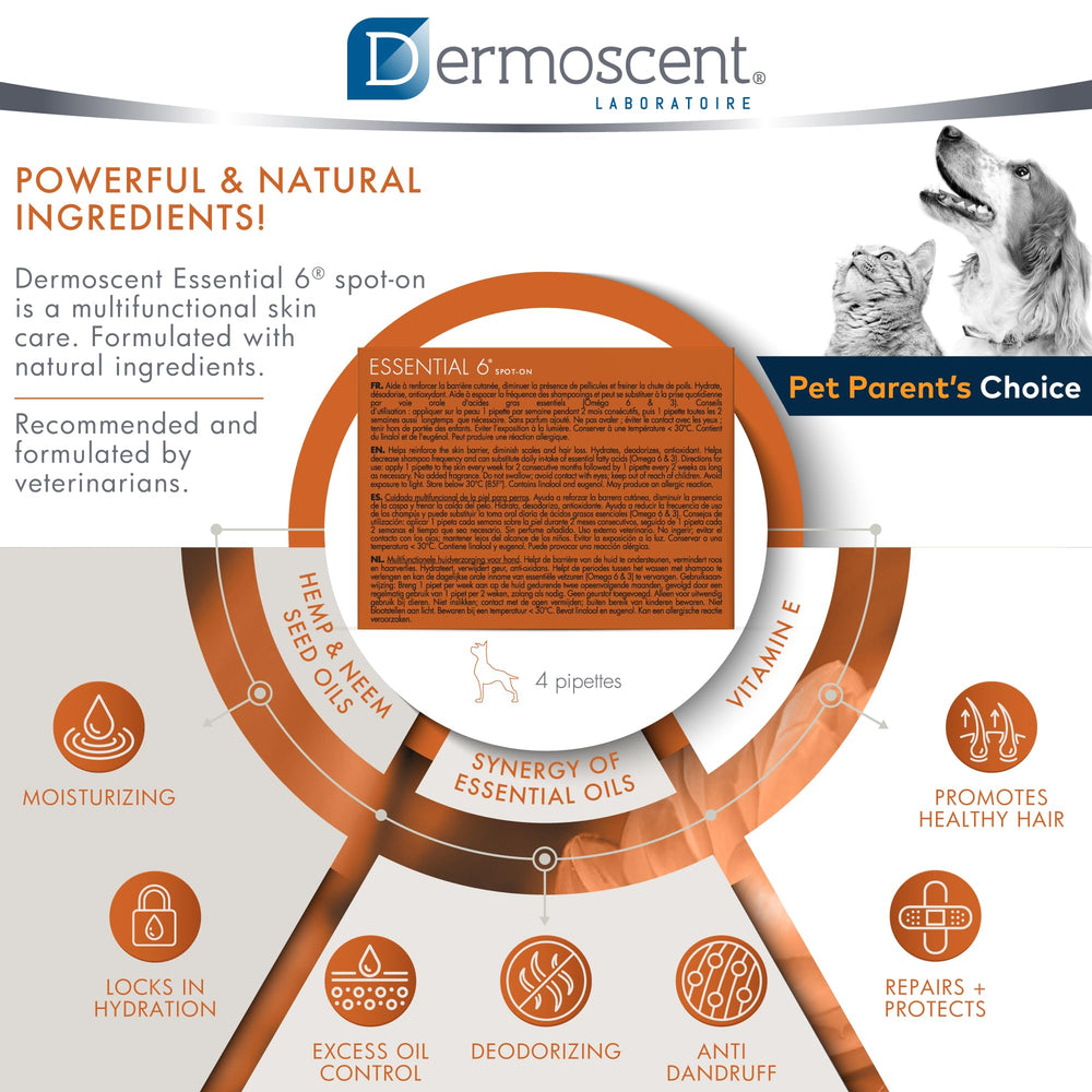 Dermoscent Essential 6 recomendado-veterinario: formulado por especialistas para el cuidado dermatológico.