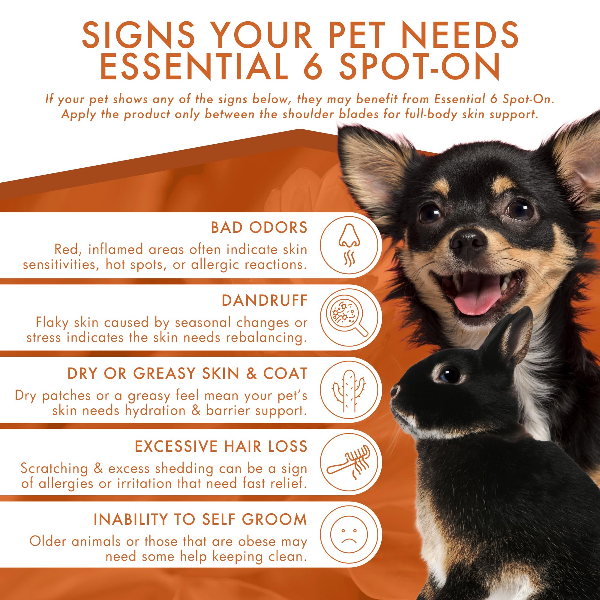 Dermoscent Essential 6, fórmula dermatológica aprobada por veterinarios.