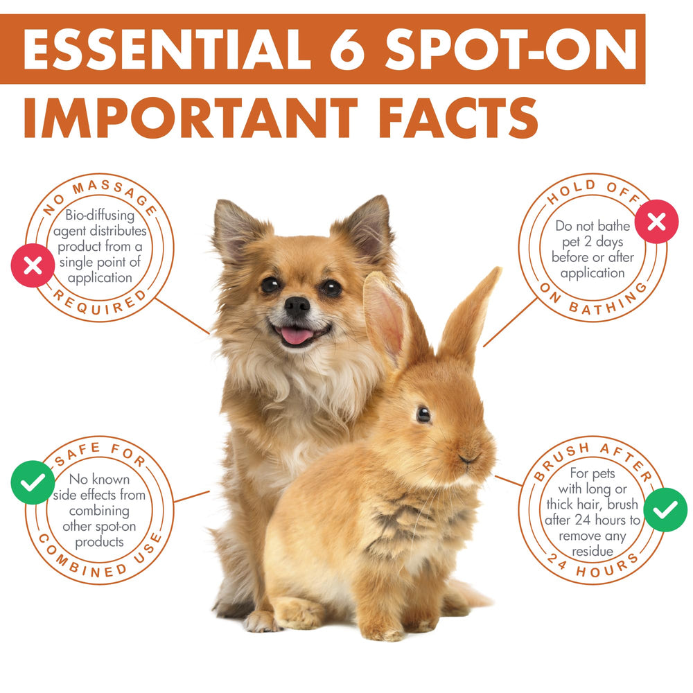 Dermoscent Essential 6, posible reducción de lavados de pelo.