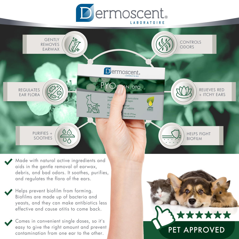 Dermoscent Pyoclean OTO: cuidado de oídos sensibles en mascotas.