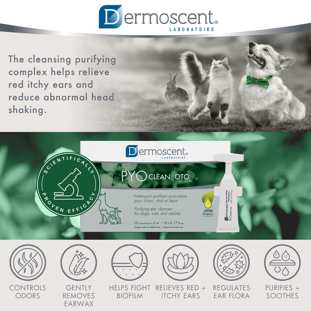 Dermoscent Pyoclean OTO: solución de limpieza para rutina diaria de oídos.