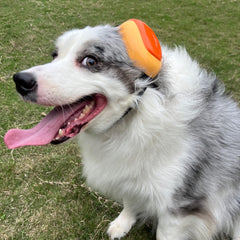 derYEP GEN2 orejeras para perro con ajuste ergonómico y comodidad duradera.