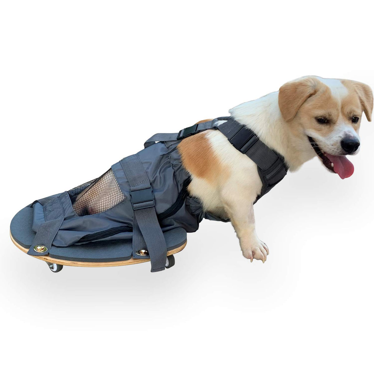 DerYEP silla de ruedas para perro, movilidad suave en uso interior.