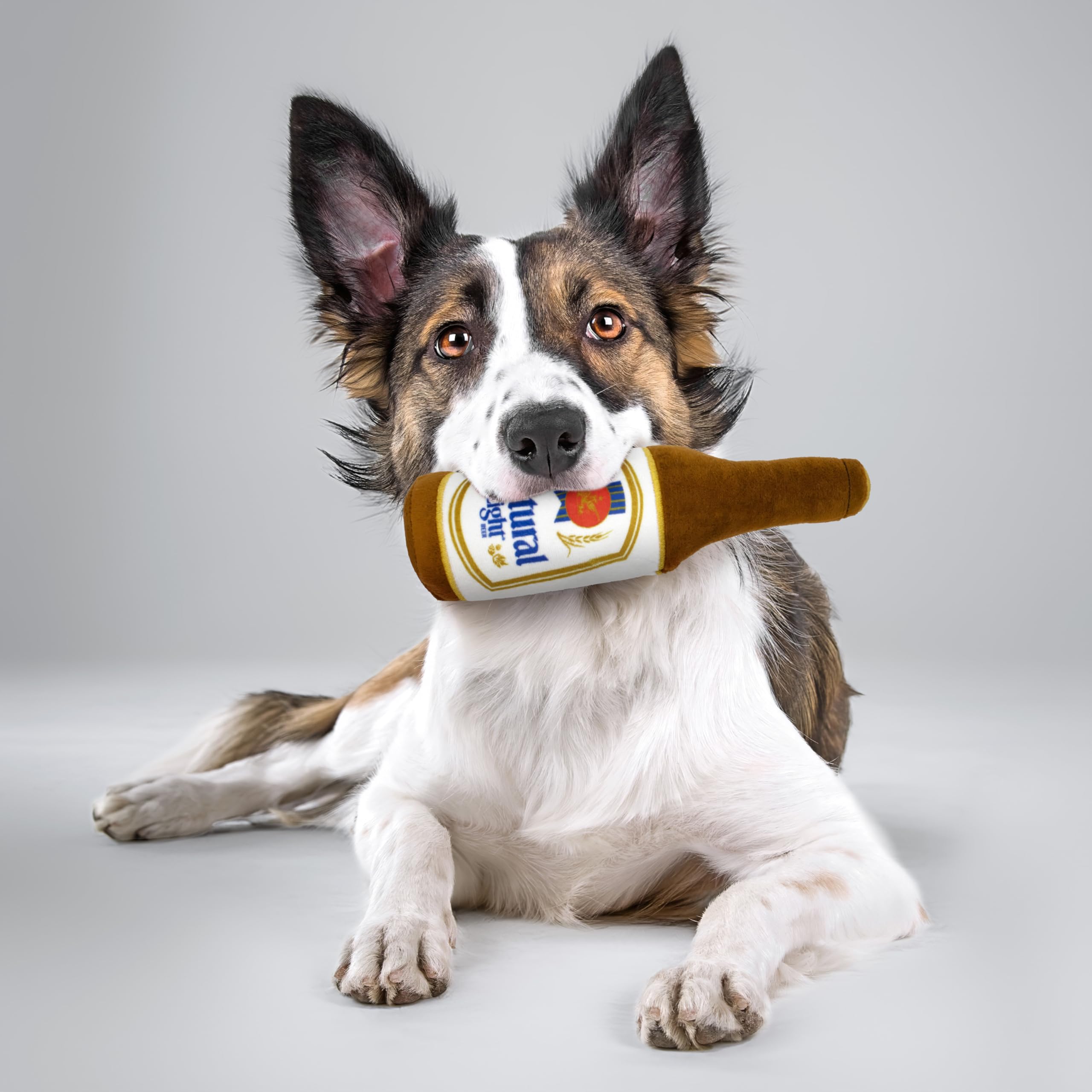 design LAB regalo divertido para amantes de la cerveza y perros.