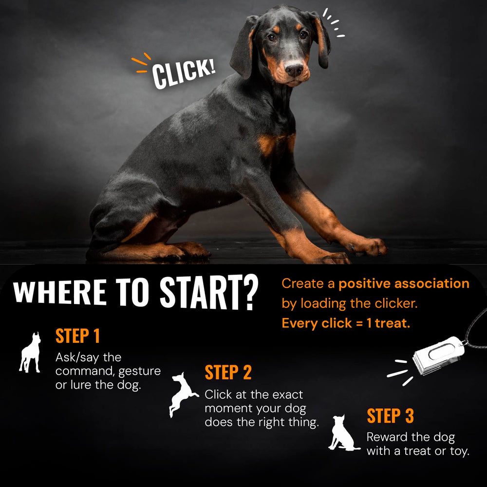 Clicker Devault Gear plateado con cierre imantado para entrenamiento a distancia.